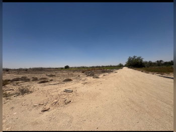 Farms & Resorts Not Furnished  Al Shamal  6 Bedrooms