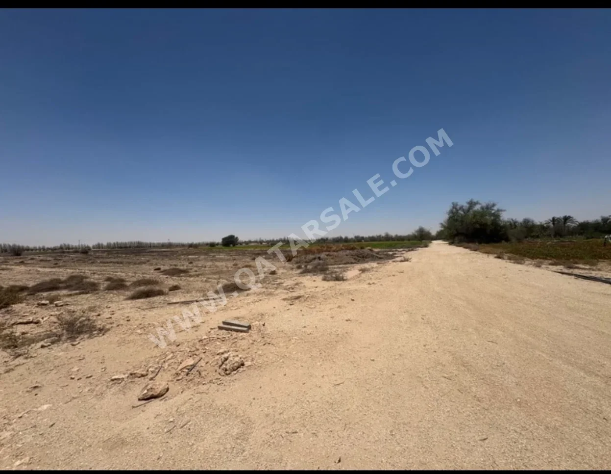 Farms & Resorts Not Furnished  Al Shamal  6 Bedrooms