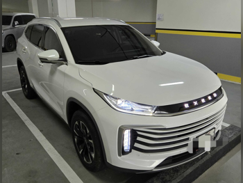 Exeed  TXL  2023  Automatic  20,039 Km  4 Cylinder  Front Wheel Drive (FWD)  SUV  White  With Warranty