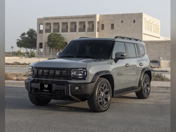 Jetour  T2  2024  Automatic  28,000 Km  4 Cylinder  Four Wheel Drive (4WD)  SUV  Gray  With Warranty