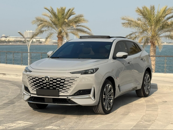 تشانجان يوني - كي 2024 اوتوماتيك 79,900 كم 4 سلندر دفع كلي مستمر اس يو في رمادي تحت الضمان