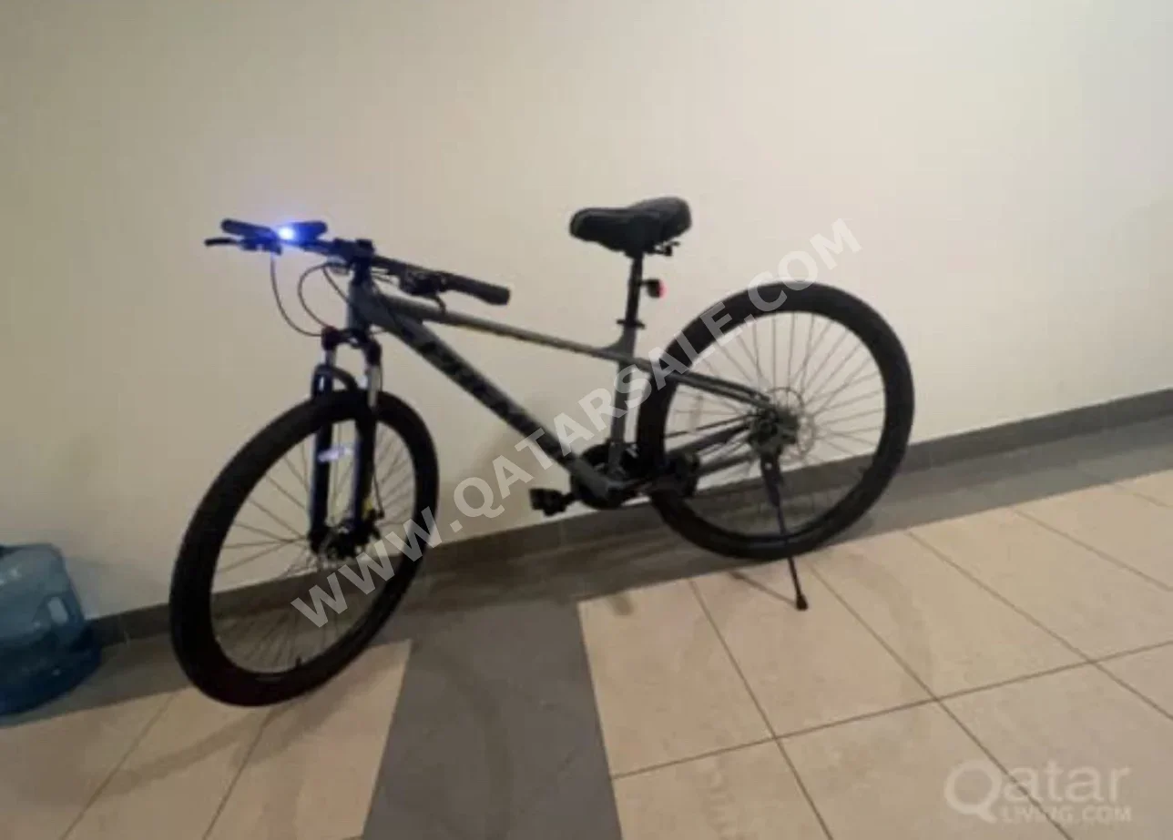 Mountain Bicycle  - Gray