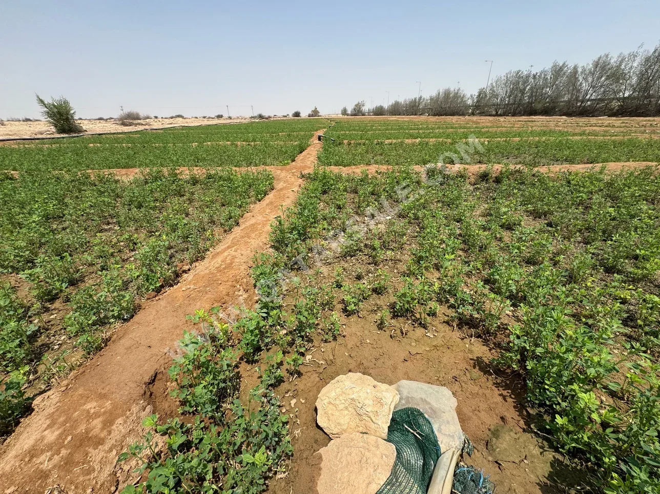 Farms & Resorts Not Furnished  Al Khor  5 Bedrooms