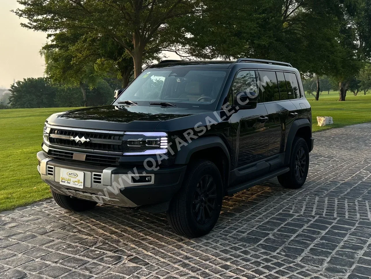 BYD  Leopard 5  SUV ( AWD )  Black  2025