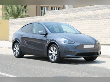 Tesla  Model Y  Long Range  2023  Automatic  14,000 Km  0 Cylinder  All Wheel Drive (AWD)  Sedan  Gray
