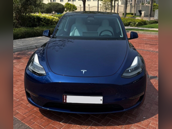 Tesla  Model Y  Performance  2024  Automatic  11,600 Km  0 Cylinder  All Wheel Drive (AWD)  SUV  Blue  With Warranty