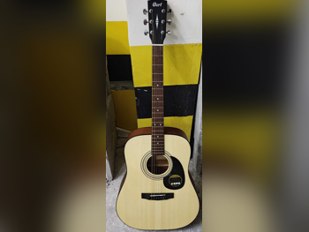 Classical Guitar  Cort  Gray Matte  2021  Qatar /  For Professional