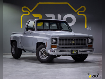 شفروليه  K10 كي  \  C10 سي  1973  اوتوماتيك  23,000 كم  8 سلندر  دفع خلفي  بيكب  فضي