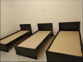 Beds - Single  - Brown  - Mattress Included