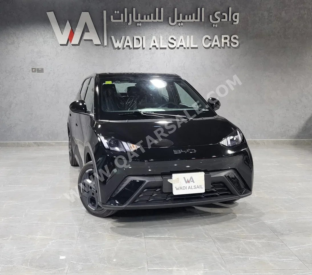 BYD  Seagull  2025  Automatic  0 Km  4 Cylinder  Rear Wheel Drive (RWD)  Sedan  Black  With Warranty