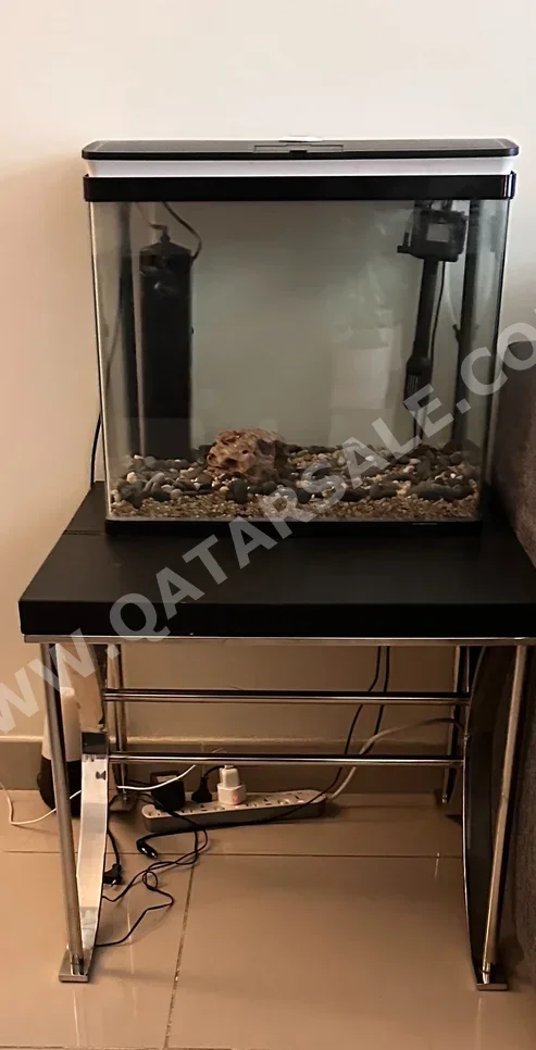 Aquariums With Motor