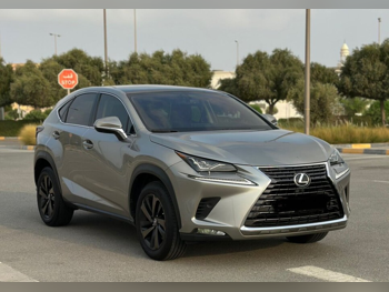 Lexus  NX  300  2020  Automatic  29,000 Km  4 Cylinder  All Wheel Drive (AWD)  SUV  Gray