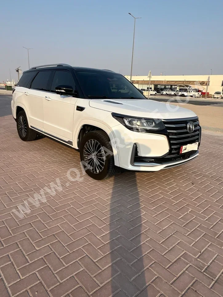 تشانجان  سي اس  95  2022  اوتوماتيك  105,000 كم  4 سلندر  دفع رباعي  اس يو في  أبيض