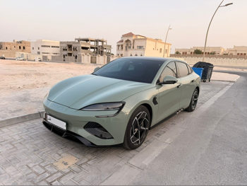 بي واي دي  سيل  2025  اوتوماتيك  7,200 كم  0 سلندر  دفع كلي مستمر  سيدان  أخضر  تحت الضمان