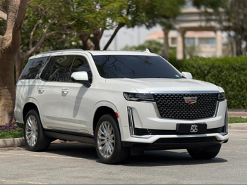 Cadillac  Escalade  600  2023  Automatic  20,000 Km  8 Cylinder  All Wheel Drive (AWD)  SUV  White  With Warranty
