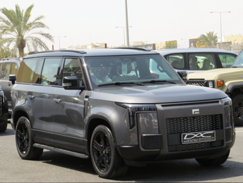 Rox Motor  Jishi  01  2026  Automatic  0 Km  4 Cylinder  Four Wheel Drive (4WD)  SUV  Gray