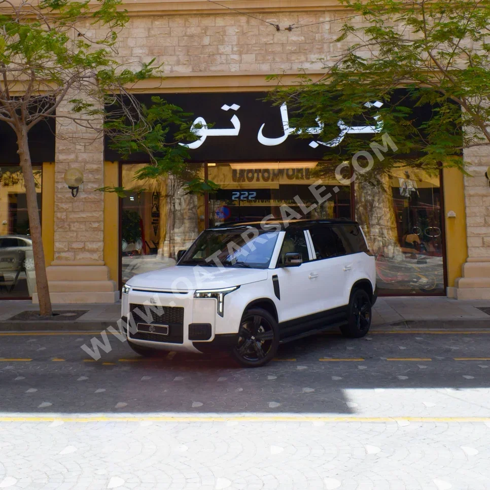 روكس موتور  جيشي  01  2026  اوتوماتيك  0 كم  4 سلندر  دفع رباعي  اس يو في  أبيض