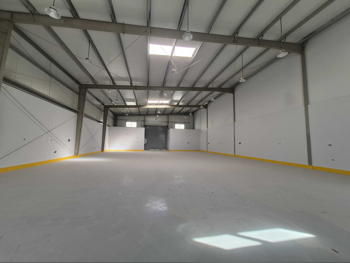 Warehouses & Stores - Al Wakrah  - Barkit Al Awamer  -Area Size: 500 Square Meter