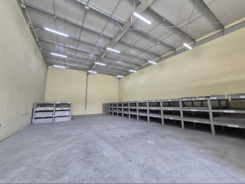 Warehouses & Stores - Al Wakrah  - Barkit Al Awamer  -Area Size: 300 Square Meter
