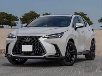 Lexus  NX 350  4 Cylinder  SUV 2x4  White  2025
