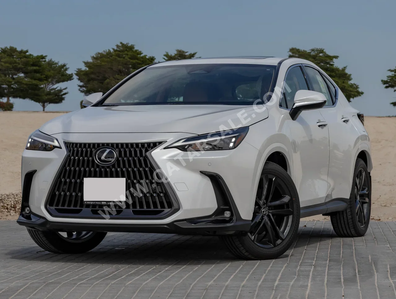 Lexus  NX 350  4 Cylinder  SUV 2x4  White  2025