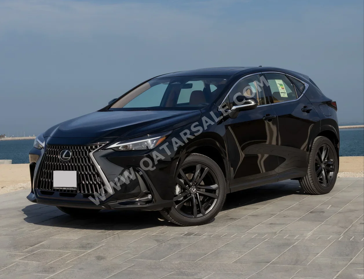 Lexus  NX 350  4 Cylinder  SUV 2x4  Black  2025