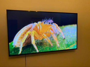 Television (TV) Samsung  - 55 Inch  - 4K or UHD  - Smart TV
