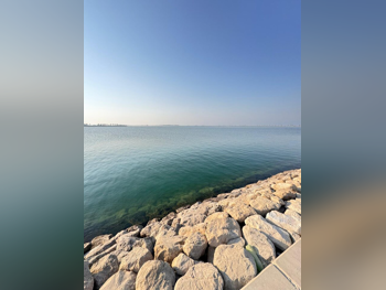 Lands For Sale in Lusail  - Qetaifan Island North  -Area Size 1,000 Square Meter