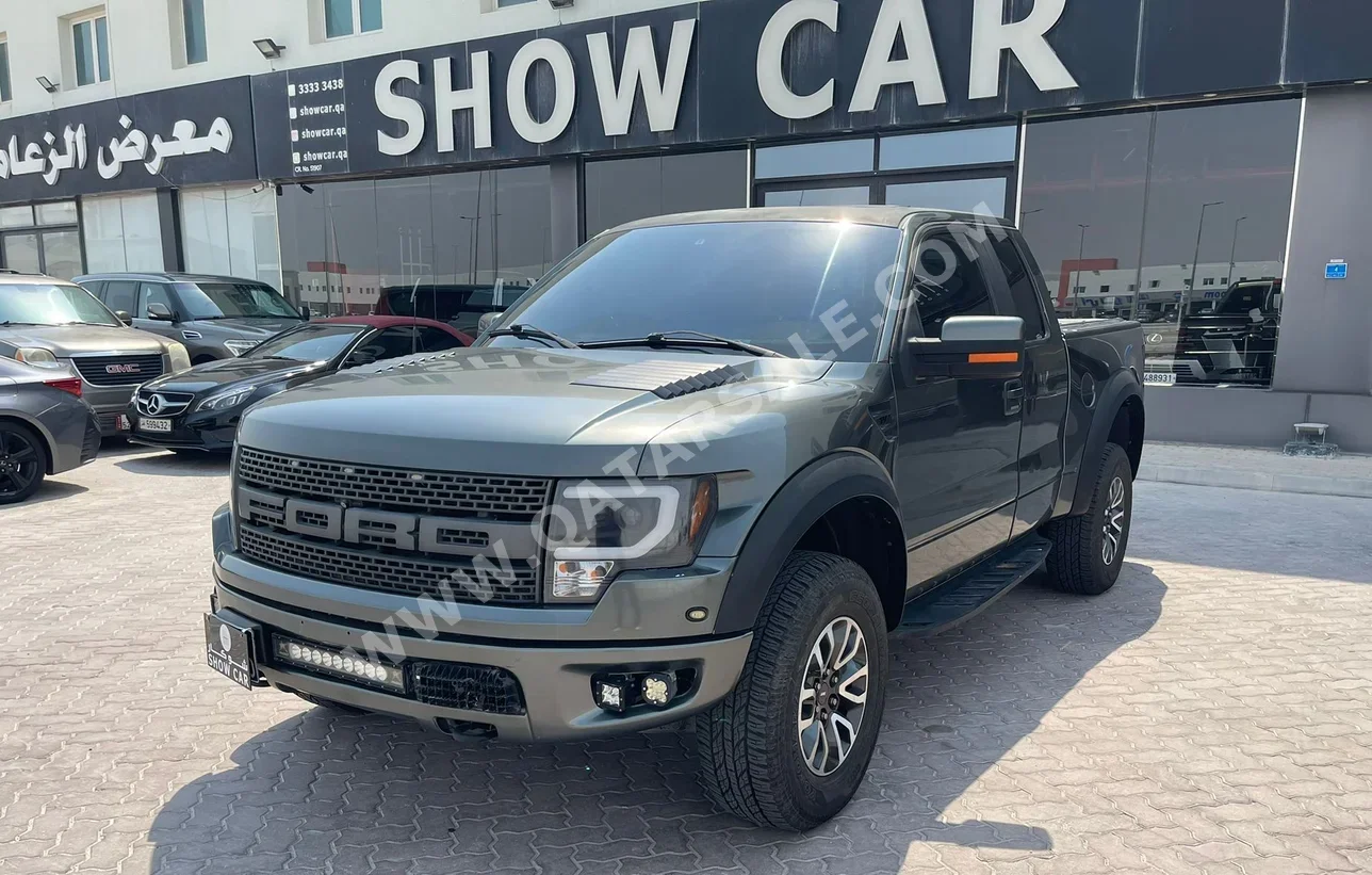 Ford  Raptor  2014  Automatic  317,000 Km  8 Cylinder  Four Wheel Drive (4WD)  Pick Up  Gray