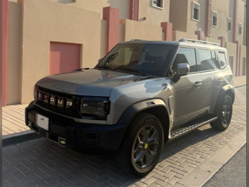 Jetour  T2  2025  Automatic  31,000 Km  4 Cylinder  Four Wheel Drive (4WD)  SUV  Silver and Black  With Warranty