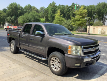 Chevrolet  Silverado  2011  Automatic  507,000 Km  8 Cylinder  Four Wheel Drive (4WD)  Pick Up  Brown
