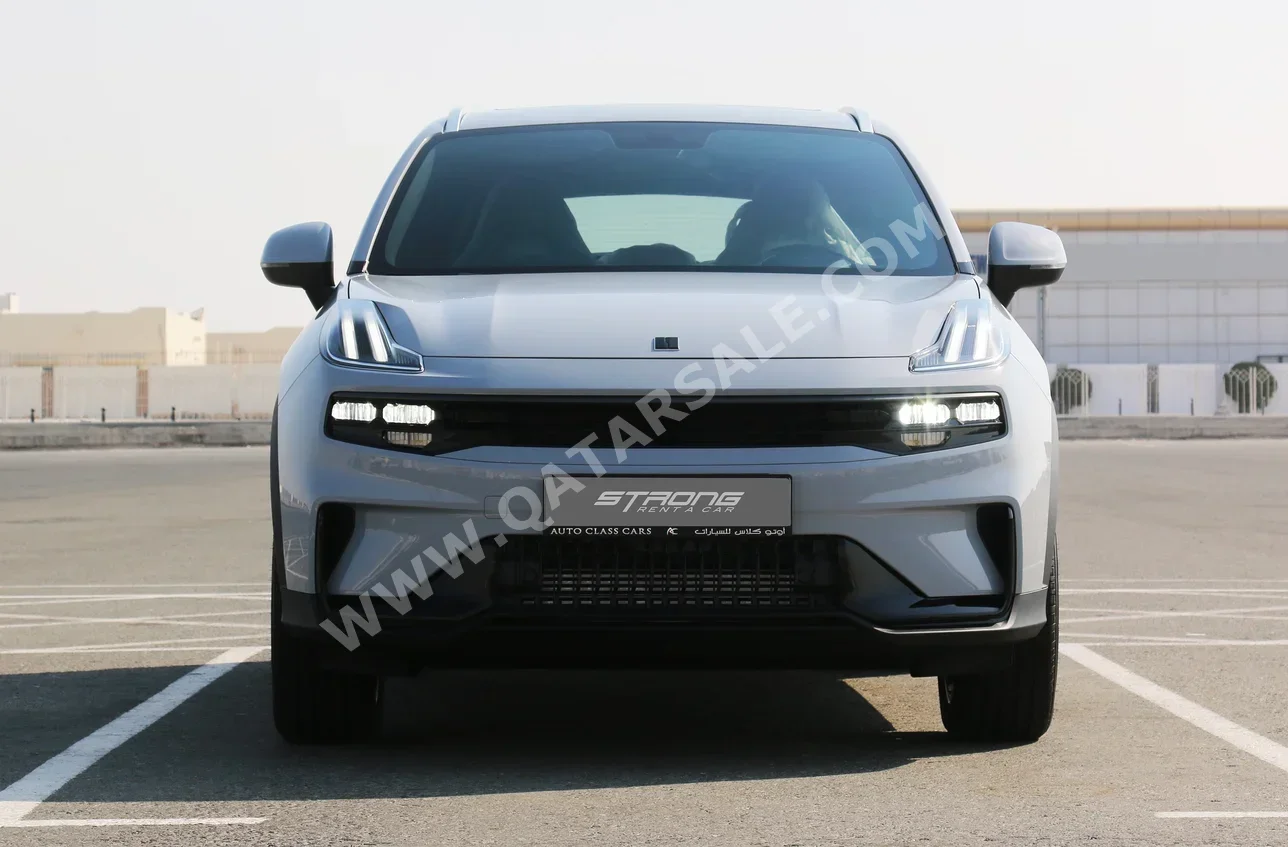 لينك وكو  06  4 سلندر  إس يو في 2 في 4  رمادي  2026