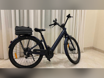 Hybrid Bicycle  - Gray