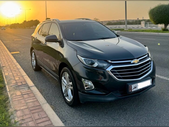 شفروليه  ايكونوكس  2019  اوتوماتيك  76,700 كم  4 سلندر  دفع كلي مستمر  اس يو في  رمادي