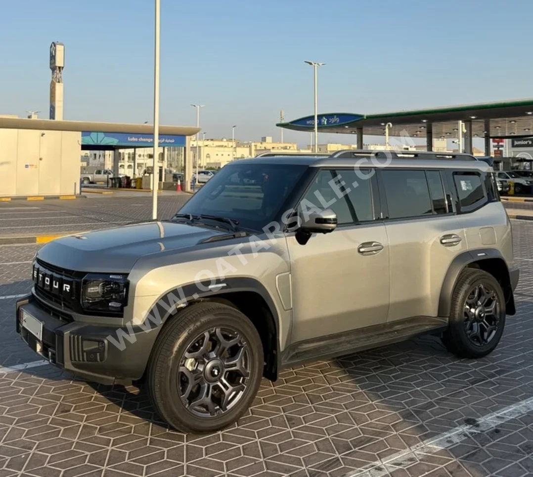 Jetour  T2  Luxury  2025  Automatic  20,000 Km  4 Cylinder  Four Wheel Drive (4WD)  SUV  Silver  With Warranty
