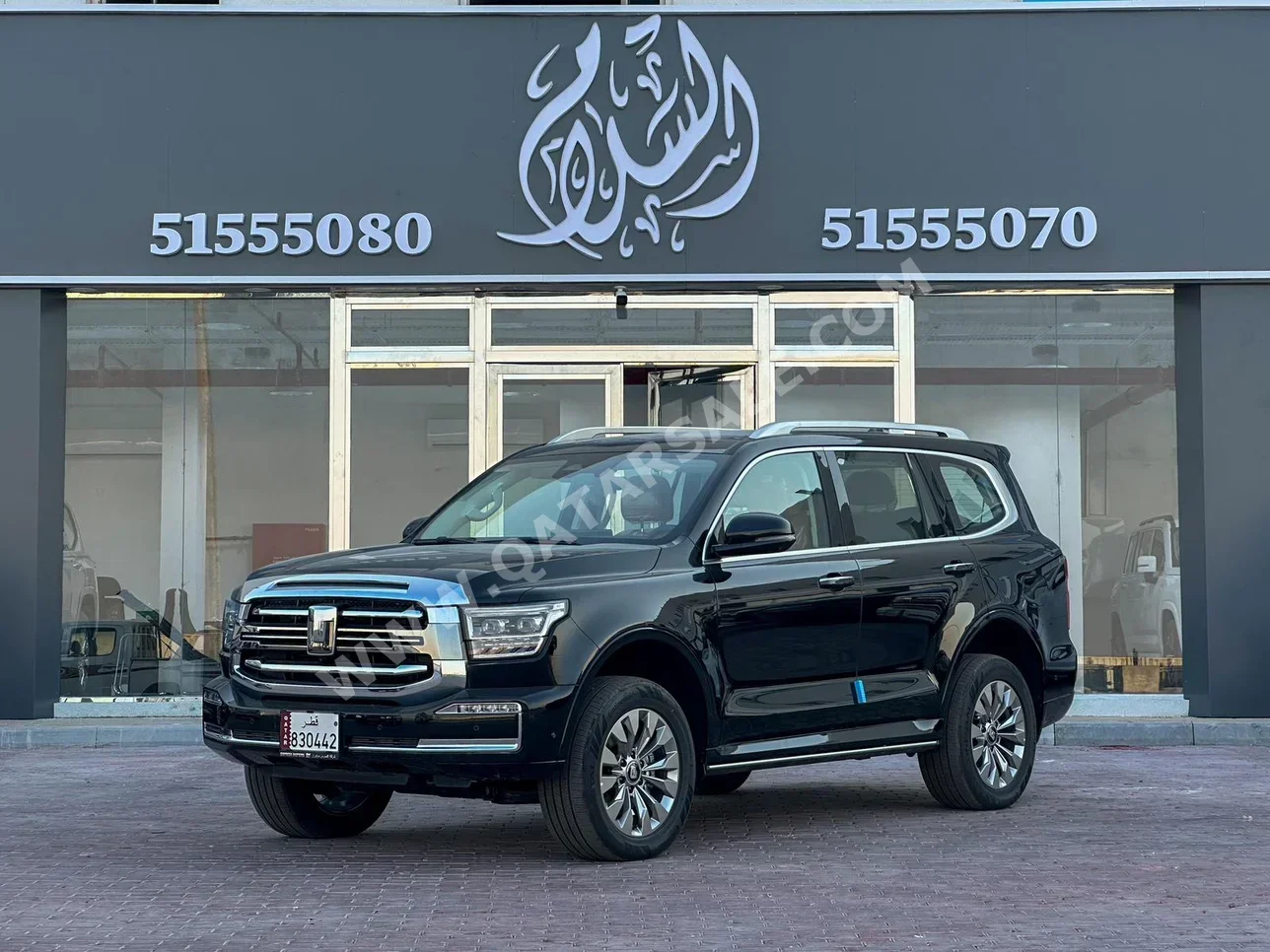 جي دبليو ام  تانك  500  2026  اوتوماتيك  0 كم  6 سلندر  دفع رباعي  اس يو في  أسود  تحت الضمان