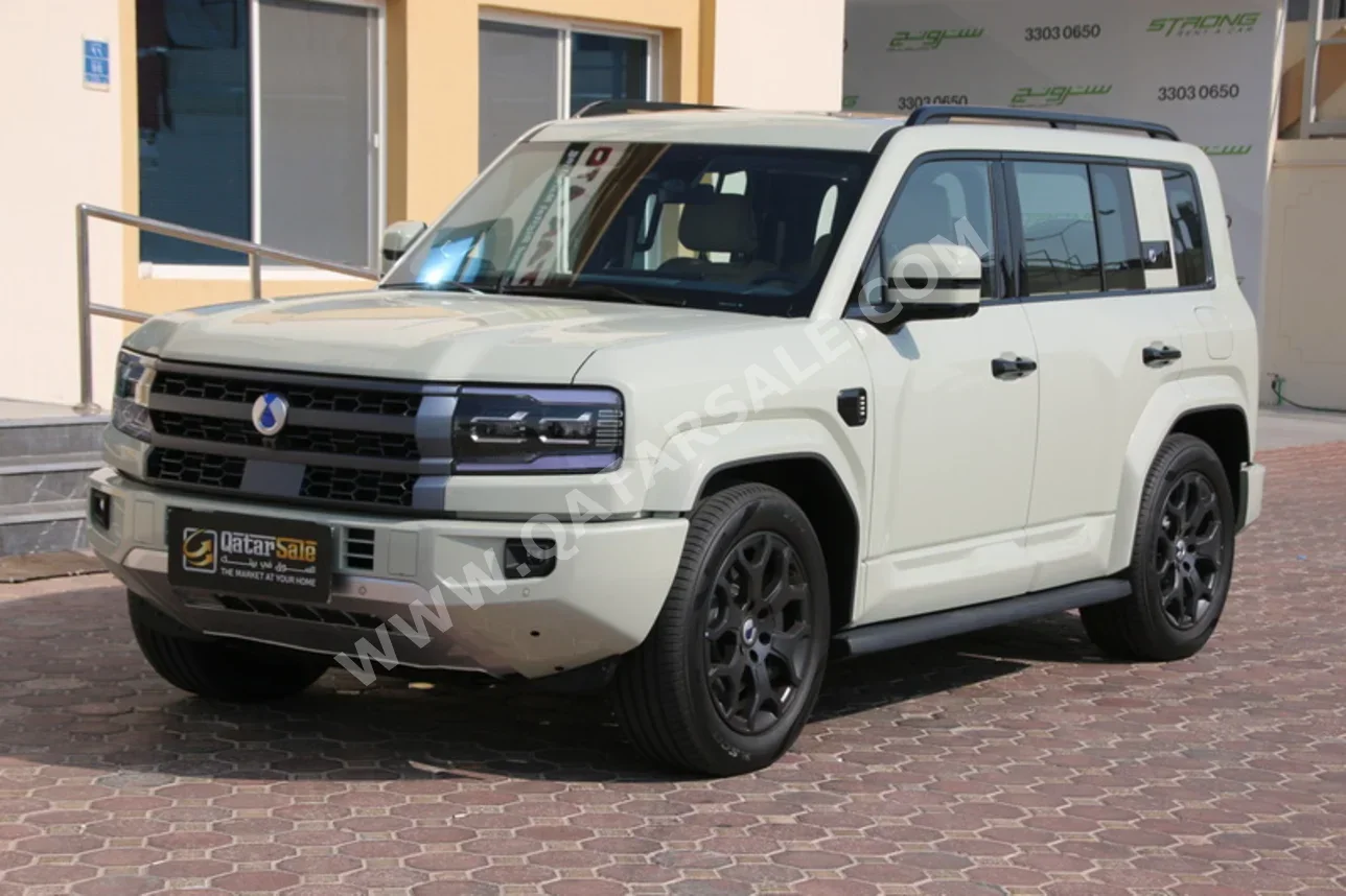 بي واي دي  دينزا  بي 5 فلاك شب  2026  اوتوماتيك  600 كم  4 سلندر  دفع رباعي  اس يو في  أخضر  تحت الضمان