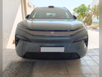 بي واي دي تانج ال 2026 اوتوماتيك 0 كم 0 سلندر دفع كلي مستمر اس يو في ازرق