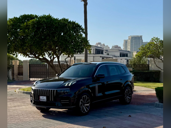 لينك اند كو  09  الترا  2024  اوتوماتيك  16,000 كم  4 سلندر  دفع كلي مستمر  اس يو في  أسود  تحت الضمان