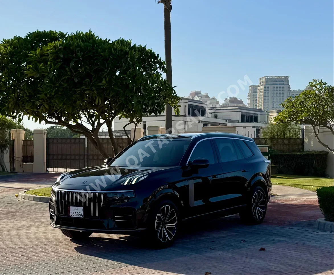 لينك اند كو  09  الترا  2024  اوتوماتيك  16,000 كم  4 سلندر  دفع كلي مستمر  اس يو في  أسود  تحت الضمان