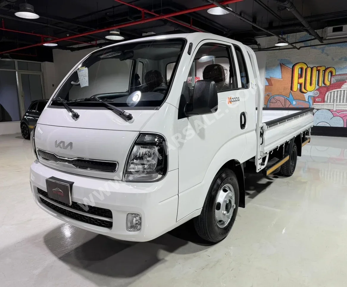 Kia 4000 2025 Manual 0 Km 4 Cylinder Rear Wheel Drive (RWD) Pick Up White