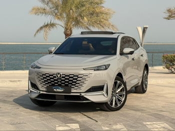 تشانجان يوني - كي 2024 اوتوماتيك 79,000 كم 4 سلندر دفع كلي مستمر اس يو في رمادي ناردو تحت الضمان