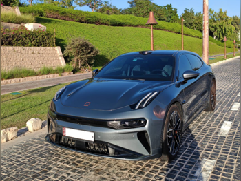 Zeekr  001  2025  Automatic  11,000 Km  0 Cylinder  All Wheel Drive (AWD)  Sedan  Gray  With Warranty