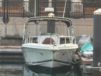 Fishing & Sail Boats - AL Dhaen - Bahrain - 2009 - White