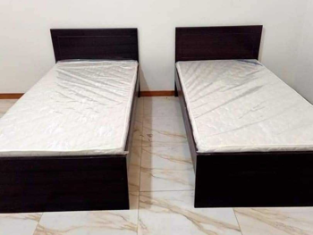 Beds - Single  - Brown  - Mattress Included