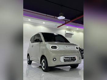 Wuling  Mini EV  2025  Automatic  0 Km  4 Cylinder  Front Wheel Drive (FWD)  Hatchback  Beige  With Warranty