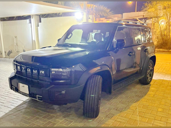 جيتور  تي 2  2025  اوتوماتيك  10,000 كم  4 سلندر  دفع رباعي  اس يو في  أسود  تحت الضمان