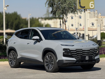 جيتور داشينغ فلاغ شيب 2024 اوتوماتيك 22,000 كم 4 سلندر دفع رباعي اس يو في رمادي تحت الضمان