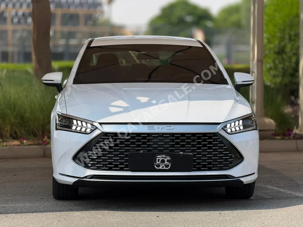 BYD QIN PLUS 4 Cylinder Sport White 2025