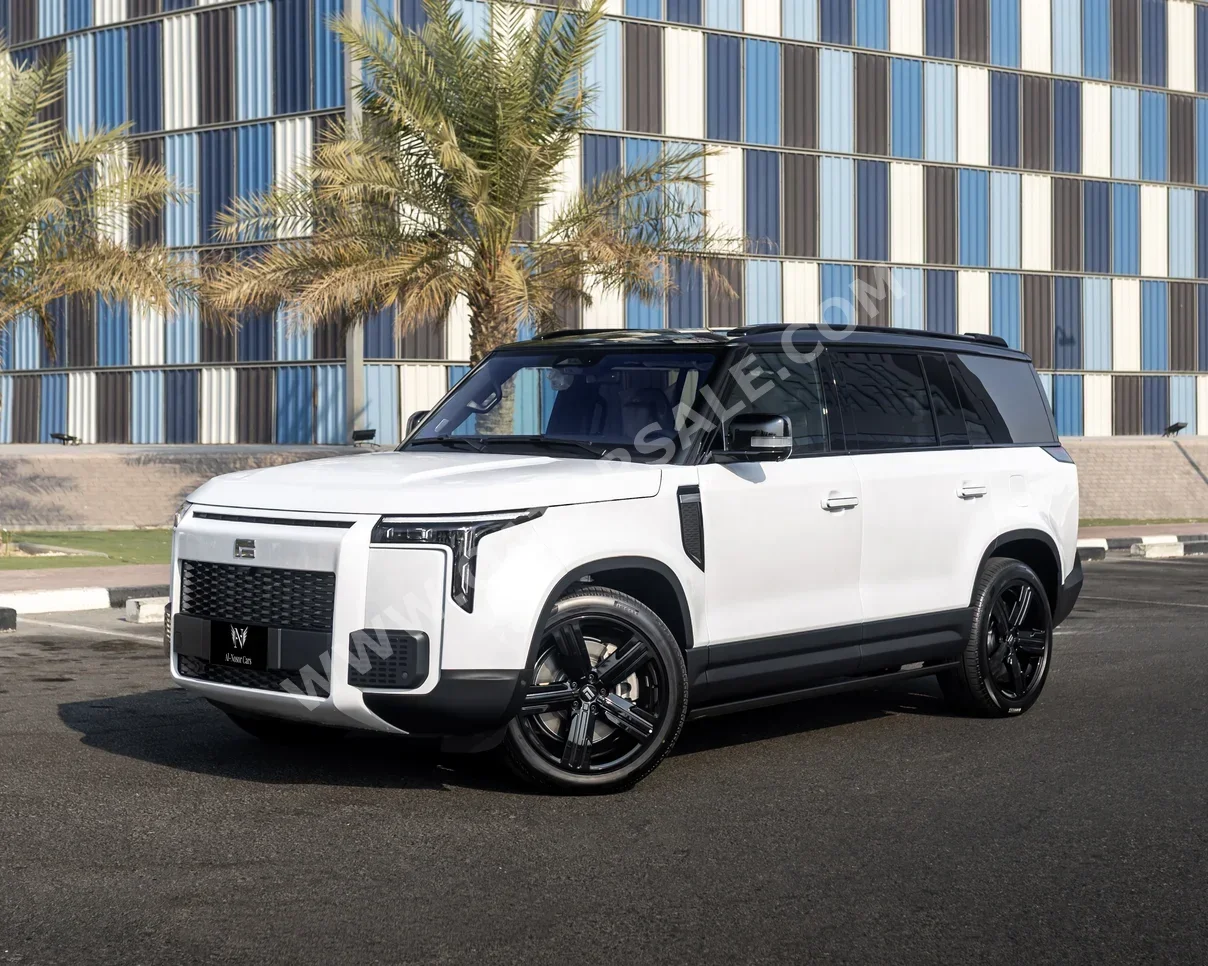 روكس موتور جيشي 01 في اي بي 2026 اوتوماتيك 0 كم 4 سلندر دفع رباعي اس يو في أبيض تحت الضمان